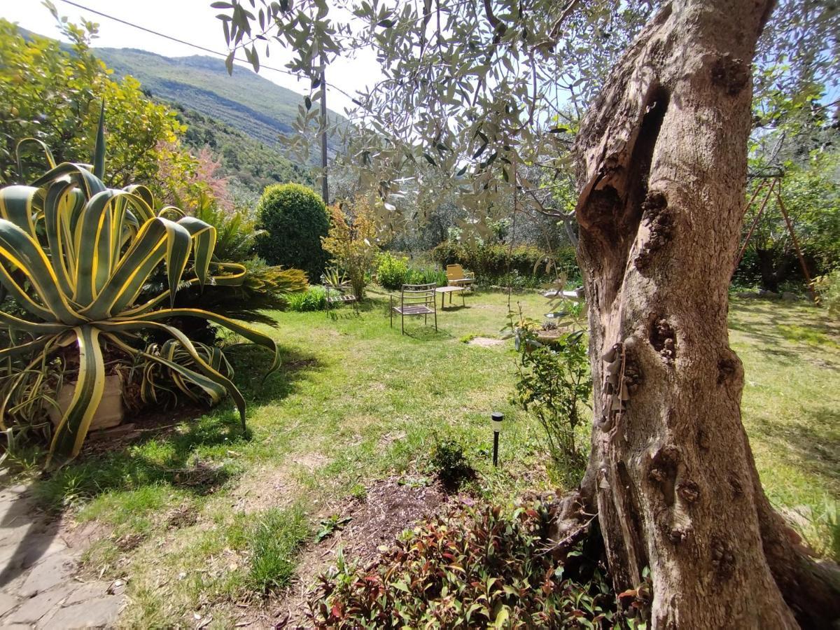 Casa Di Nin Leilighet Torbole Sul Garda Eksteriør bilde
