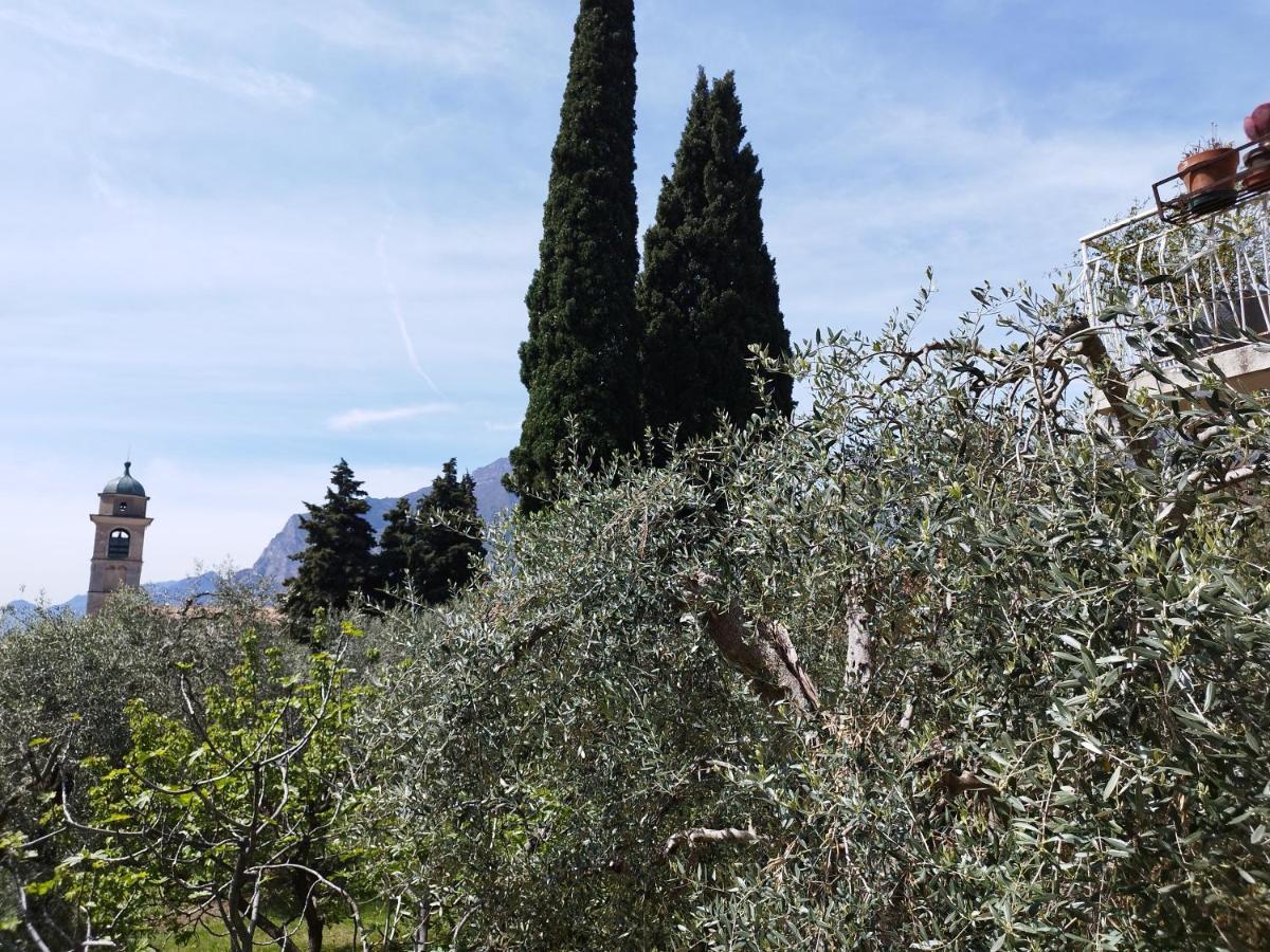 Casa Di Nin Leilighet Torbole Sul Garda Eksteriør bilde