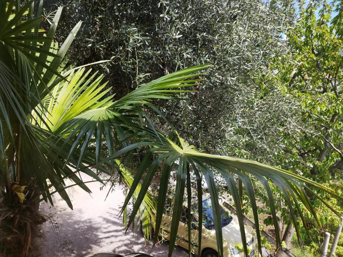 Casa Di Nin Leilighet Torbole Sul Garda Eksteriør bilde