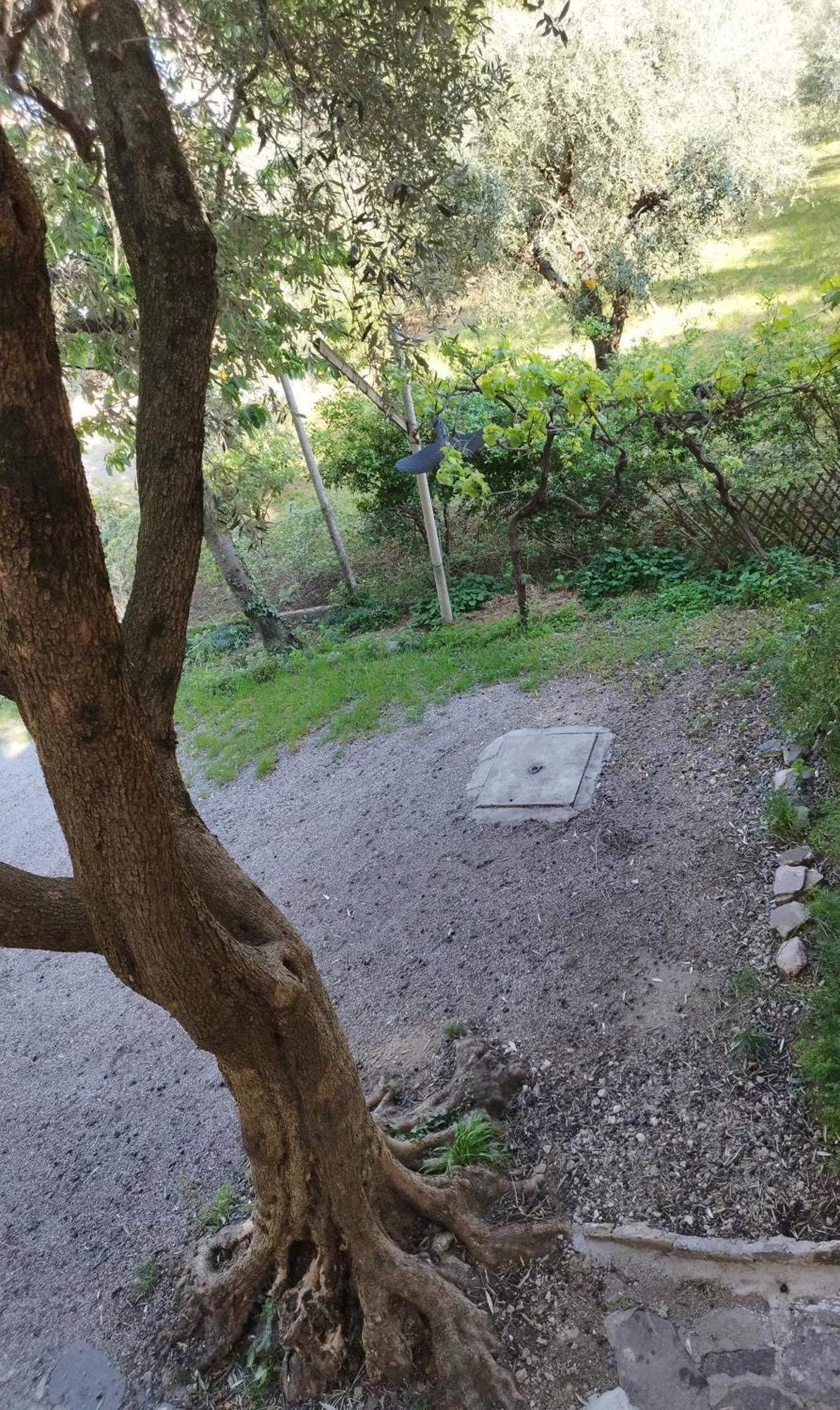 Casa Di Nin Leilighet Torbole Sul Garda Eksteriør bilde